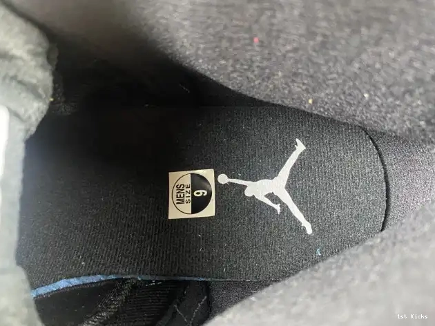 The 130690-013 Jordan Retro Master 12 Air 0522